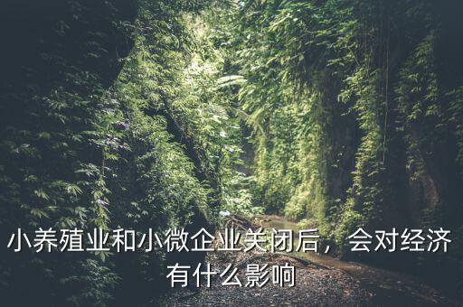 小養(yǎng)殖業(yè)和小微企業(yè)關(guān)閉后，會(huì)對(duì)經(jīng)濟(jì)有什么影響