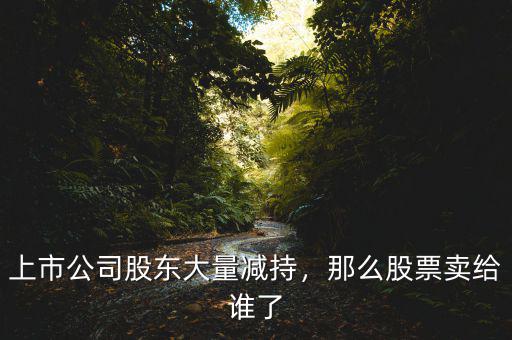 上市公司股東大量減持，那么股票賣給誰了