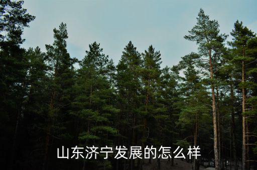 山東鄒城百隆紡織怎么樣,現(xiàn)在紡織行業(yè)怎么樣