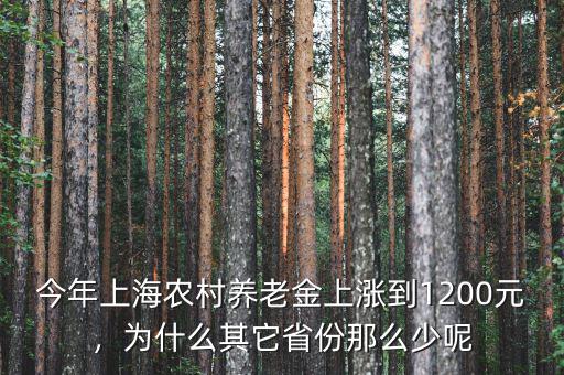 今年上海農(nóng)村養(yǎng)老金上漲到1200元，為什么其它省份那么少呢