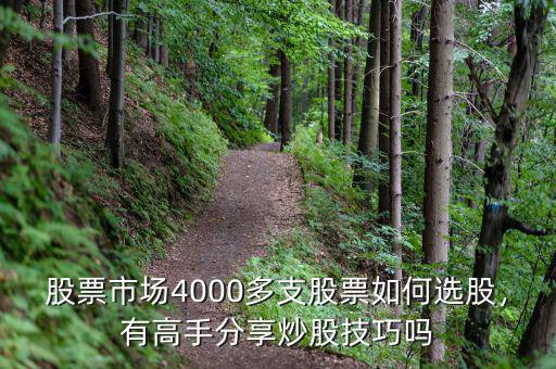 股票市場(chǎng)4000多支股票如何選股，有高手分享炒股技巧嗎