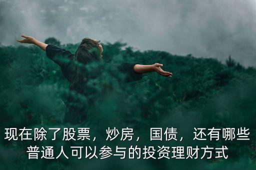 現(xiàn)在除了股票，炒房，國債，還有哪些普通人可以參與的投資理財(cái)方式