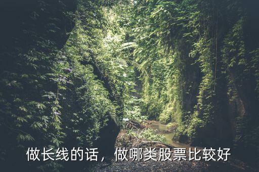 長(zhǎng)線投資什么股票好,做哪類股票比較好