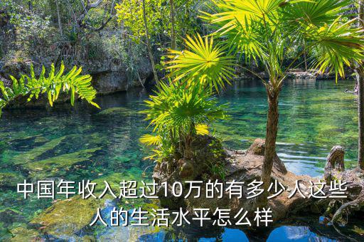 中國(guó)年收入超過(guò)10萬(wàn)的有多少人這些人的生活水平怎么樣