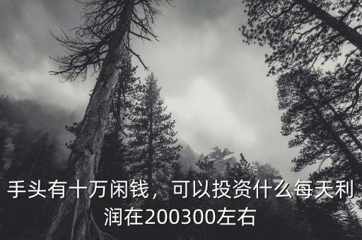 手頭有十萬(wàn)閑錢(qián)，可以投資什么每天利潤(rùn)在200300左右