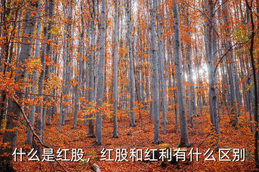 什么是紅股，紅股和紅利有什么區(qū)別