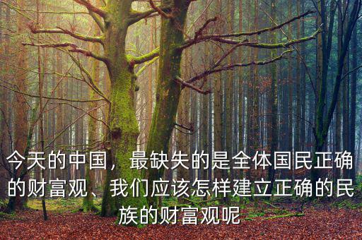 今天的中國，最缺失的是全體國民正確的財(cái)富觀、我們應(yīng)該怎樣建立正確的民族的財(cái)富觀呢