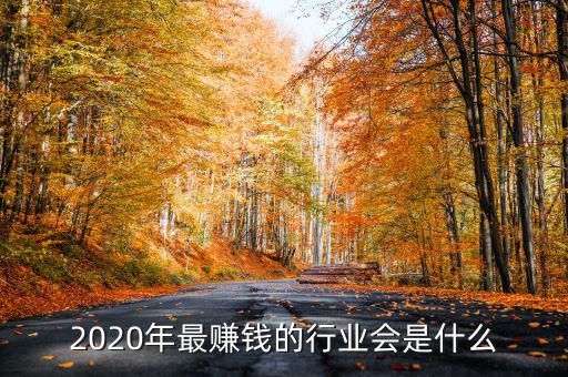 205年什么年最轉(zhuǎn)錢,2020年做什么最賺錢