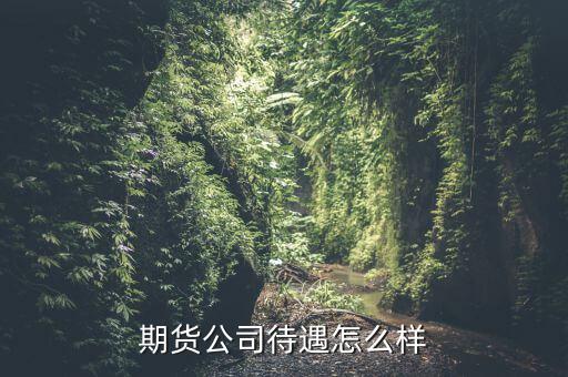 期貨公司待遇怎么樣