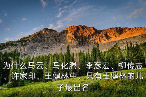 為什么馬云、馬化騰、李彥宏、柳傳志、許家印、王健林中，只有王健林的兒子最出名