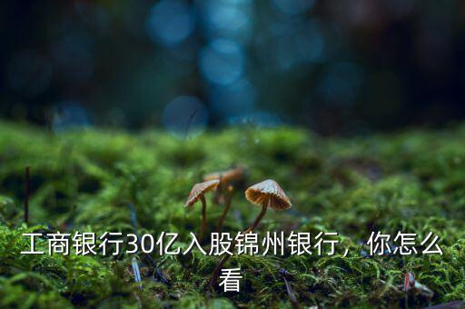 錦州銀行怎么樣,工商銀行30億入股錦州銀行