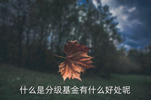 基金評級有什么意義,有什么好處呢