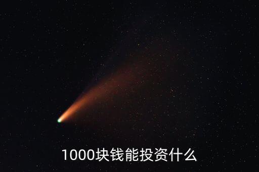 1000塊錢能投資什么