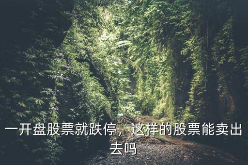 一開盤股票就跌停，這樣的股票能賣出去嗎