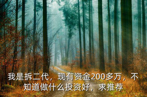 我是拆二代，現(xiàn)有資金200多萬，不知道做什么投資好，求推薦