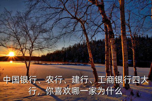 中國(guó)銀行、農(nóng)行、建行、工商銀行四大行，你喜歡哪一家為什么