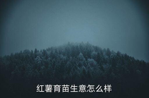 紅薯育苗生意怎么樣