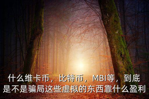 什么維卡幣，比特幣，MBI等，到底是不是騙局這些虛擬的東西靠什么盈利