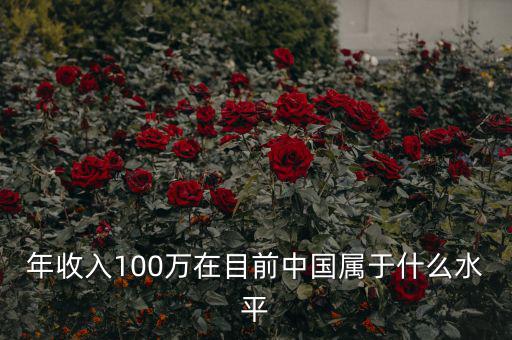 年收入100萬(wàn)在目前中國(guó)屬于什么水平