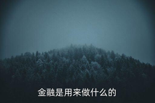 金融是用來做什么的