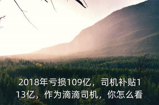 2018年虧損109億，司機補貼113億，作為滴滴司機，你怎么看