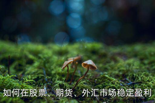 如何在股票、期貨、外匯市場(chǎng)穩(wěn)定盈利