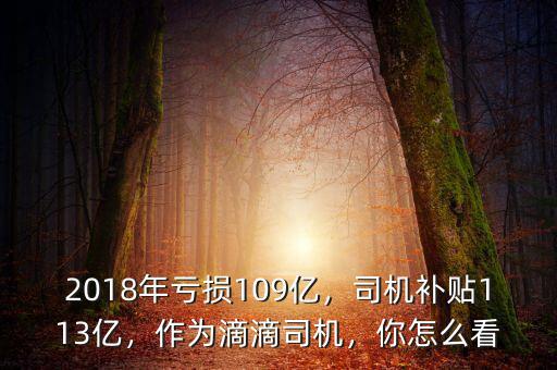 2018年虧損109億，司機(jī)補(bǔ)貼113億，作為滴滴司機(jī)，你怎么看