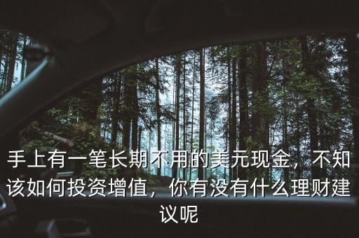 手上有一筆長期不用的美元現(xiàn)金，不知該如何投資增值，你有沒有什么理財(cái)建議呢