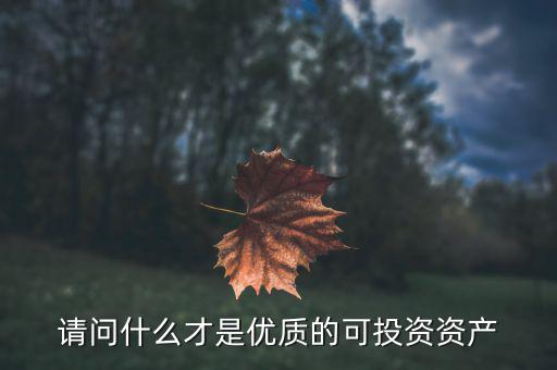 請(qǐng)問(wèn)什么才是優(yōu)質(zhì)的可投資資產(chǎn)