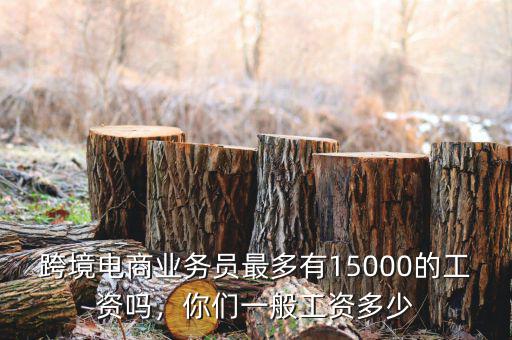 跨境電商業(yè)務(wù)員最多有15000的工資嗎，你們一般工資多少