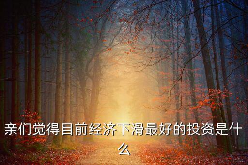 親們覺得目前經(jīng)濟下滑最好的投資是什么