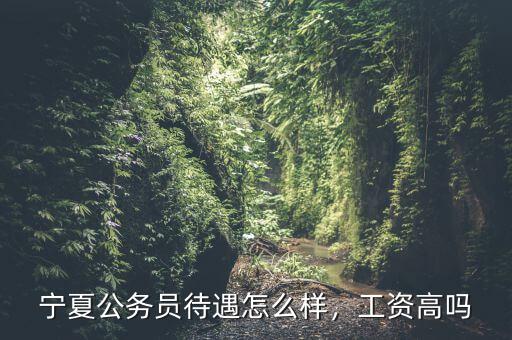 寧夏公務(wù)員待遇怎么樣，工資高嗎