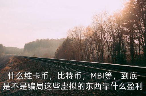 什么維卡幣，比特幣，MBI等，到底是不是騙局這些虛擬的東西靠什么盈利