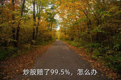 炒股賠了99.5%，怎么辦