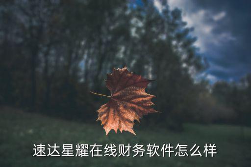 網(wǎng)達(dá)軟件怎么樣,速達(dá)星耀在線財(cái)務(wù)軟件怎么樣