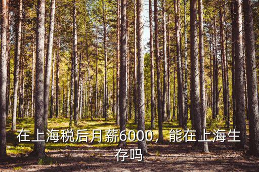 在上海稅后月薪6000，能在上海生存嗎