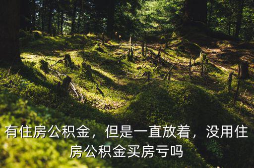 有住房公積金，但是一直放著，沒用住房公積金買房虧嗎