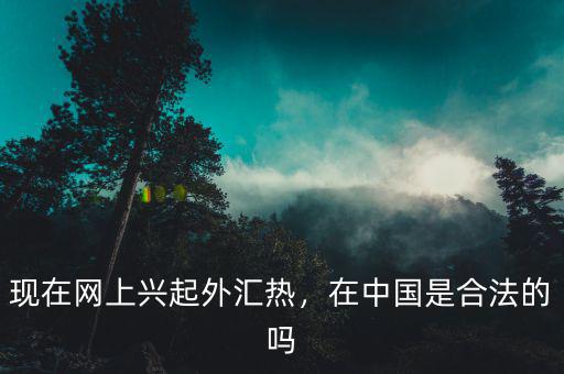 現(xiàn)在網(wǎng)上興起外匯熱，在中國是合法的嗎