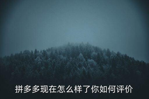 拼多多現在怎么樣了你如何評價