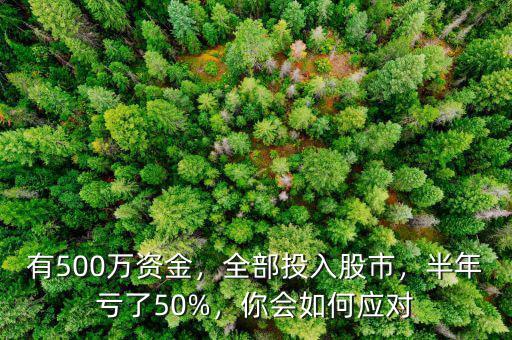 有500萬(wàn)資金，全部投入股市，半年虧了50%，你會(huì)如何應(yīng)對(duì)