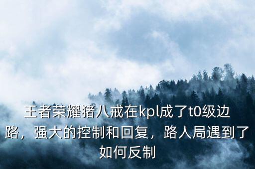 王者榮耀豬八戒在kpl成了t0級邊路，強(qiáng)大的控制和回復(fù)，路人局遇到了如何反制