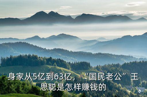 身家從5億到63億，“國(guó)民老公”王思聰是怎樣賺錢的