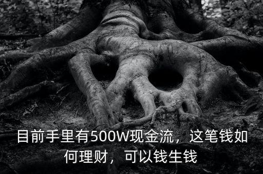 目前手里有500W現(xiàn)金流，這筆錢如何理財(cái)，可以錢生錢