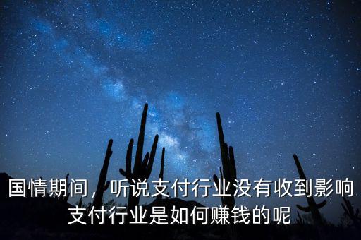 國情期間，聽說支付行業(yè)沒有收到影響支付行業(yè)是如何賺錢的呢