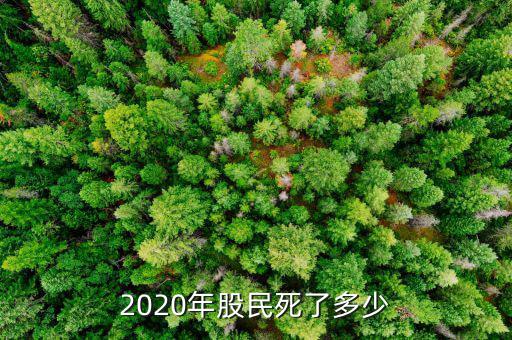 2020年股民死了多少