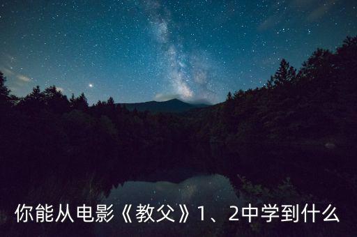 你能從電影《教父》1、2中學(xué)到什么