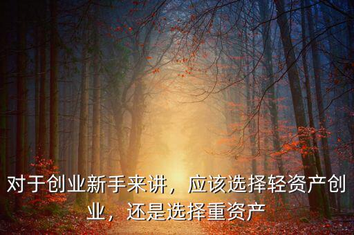 對(duì)于創(chuàng)業(yè)新手來(lái)講，應(yīng)該選擇輕資產(chǎn)創(chuàng)業(yè)，還是選擇重資產(chǎn)