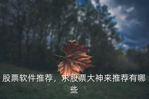 楊百萬(wàn)軟件怎么樣有股票推薦嗎,求股票大神來(lái)推薦有哪些