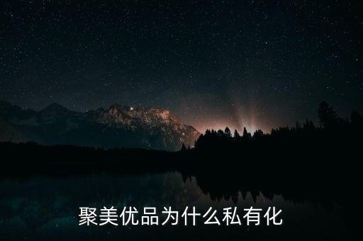 聚美優(yōu)品關(guān)稅怎么收,聚美優(yōu)品為什么私有化