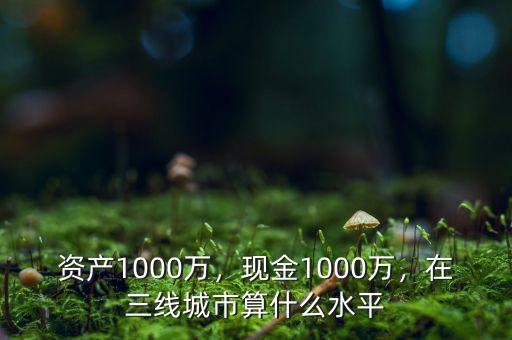 資產(chǎn)1000萬，現(xiàn)金1000萬，在三線城市算什么水平